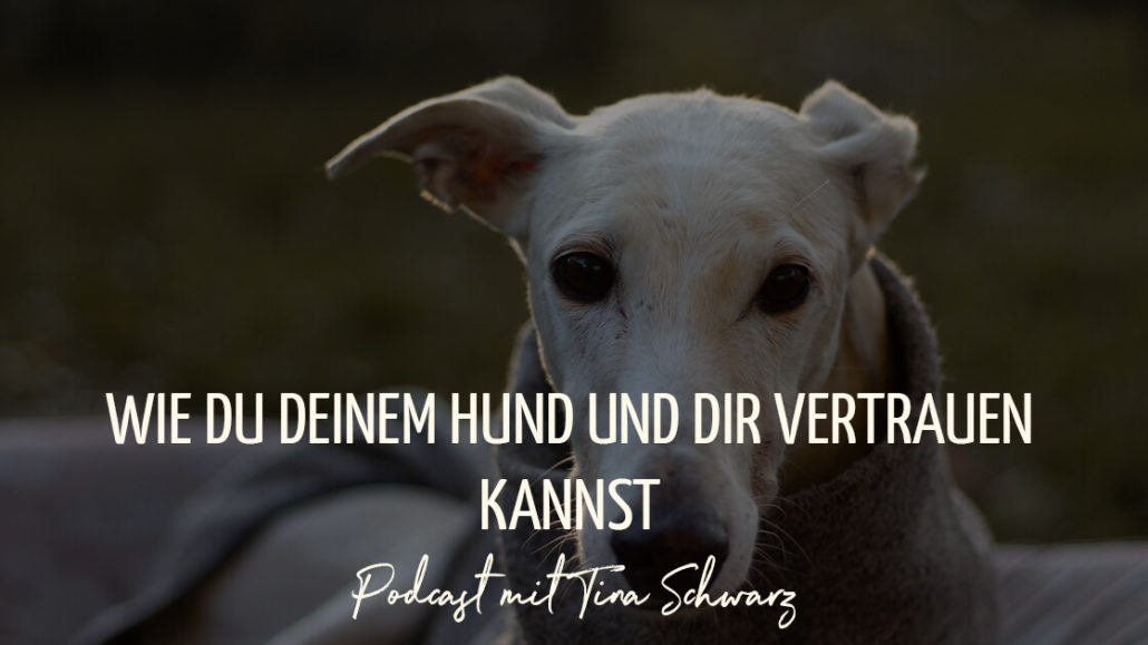 PODCAST 45 WIE DU DEINEM HUND UND DIR VERTRAUEN KANNST Tina Schwarz