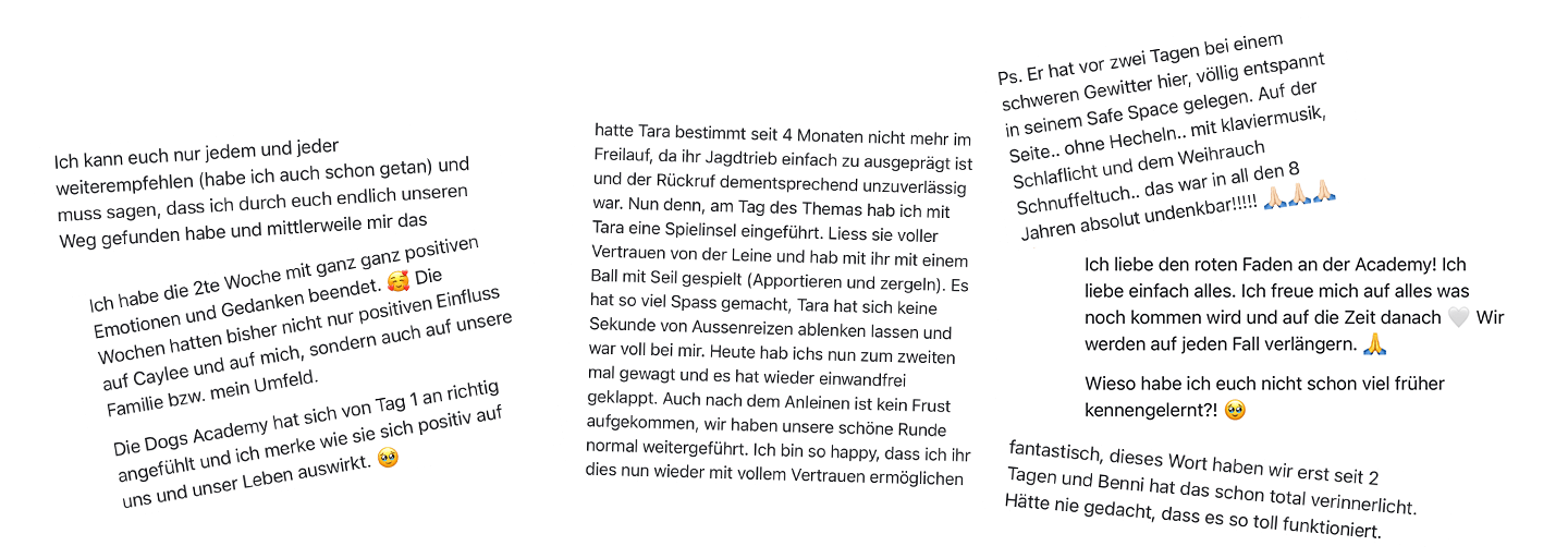 Testimonials Academy 11-3