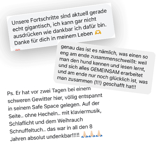 Testimonials Academy 11 mobil-2