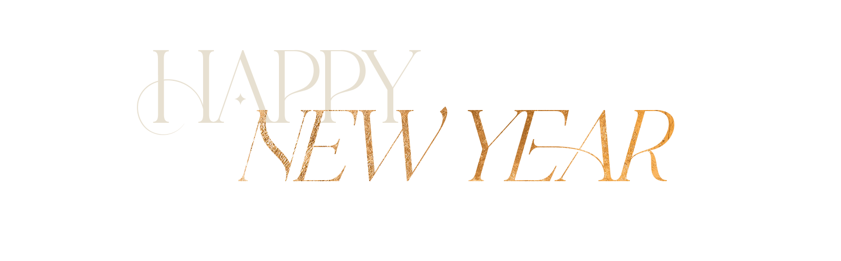 Silvester Logo 2025-2