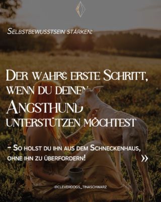 Dein Hund hat Ängste und soll diese verlieren. Doch gleichzeitig möchtest du ihn nicht überfordern? 🔎 Damit dein Hund seine Ängste wirklich löst und nicht nur kaschiert darfst du tiefer in dieses Thema blicken. Was die meisten klassischen Ratschläge empfehlen: 🌪️ Da muss er durch, damit er lernt, dass ihm nichts passiert 🌪️ Der braucht nicht dein Mitleid, sondern deine Führung, sonst verstärkst du deine Ängste 🌪️ Bleib einfach entspannt und souverän, dann entspannt er sich auch ⏰ Und bei all diesen Tipps wird vor allem eines immer weniger: Das Selbstbewusstsein deines Hundes. - Damit dein Hund seine Ängste wirklich abbaut und sich die Bindung zwischen euch stärkt, darfst du: 🗝️ Positive Emotionen fördern, auch in Bezug auf die ängstigenden Situationen 🔎 Die Selbstwirksamkeit deines Hundes stärken und gleichzeitig das Verhalten positiv beeinflussen 🕯️ Deinen Hund das Tempo bestimmen lassen. Fördern, ohne ihn zu überfordern. Liebevoll und wohlwollend Das Gefühl von Sicherheit kann dein Hund erfahren, wenn er in seinen Ängsten gesehen und seine Grenzen akzeptiert werden. Gleichzeitig kannst du deinen Blick schulen für all die kleinen Verhaltensweisen, die dein Hund bereits bietet und die euch in die Richtung raus aus der Angst bewegen. So stärkst du eure Bindung, baust Grenzen auf, verstärkst erwünschtes Verhalten und schaffst echte Selbstwirksamkeit bei deinem Hund. Schon mehr als 90 Menschen stehen auf der Waitlist zur VIP Dogs Academy. Die Türen öffnen schon am 26. Mai. 😍 Der ganzheitliche Weg, der dich und deinen Hund gleichermaßen wachsen lässt. Wenn du diesen Weg auch gehen möchtest, trage dich so gern ein. Dadurch kannst du dir als Erste:r deinen Platz sichern und das zum besten Preis. Den Link findest du in meiner Bio. Liebe geht raus, Tina