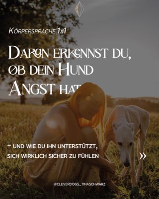 Um die Ängste deines Hundes abzubauen gibt es so viele Tipps und Empfehlungen. 🔎 Und doch arbeiten so viele davon genau gegen dein Ziel. Was noch immer viel zu oft empfohlen wird: 🌪️ Der muss da durch, damit er merkt, dass nichts passiert. 🌪️ Du musst souverän bleiben und ihn einfach mitnehmen. 🌪️ Lass ihn neben oder hinter dir laufen und auf keinen Fall schnüffeln. Er soll dir folgen. ⏰ Während diese Tipps das Gegenteil erzielen, von dem was du dir wünscht, vergeht so viel Lebenszeit, die ihr nicht mit Freude füllen könnt. Damit dein Hund seine Ängste abbauen kann braucht er Sicherheit. Was sicher ist, entscheidet er! Deine Aufgabe ist genau das zu erkennen und für euch zu nutzen. - Damit du erkennen kannst, wann es ihm besser geht, darfst du: 🗝️ Emotionen ermöglichen, die sich gut anfühlen. Durch Zuwendung, Futter, etc. verstärkst du keine Angst, sondern arbeitest aktiv dagegen. 🔎 Ausschau halten nach folgendem Verhalten: Schnüffeln. Wenn dein Hund schnüffelt ist mit hoher Wahrscheinlichkeit die Emotion „Seeking“ aktiv. Die fühlt sich so richtig richtig gut an und es ist nicht möglich, dass gleichzeitig Angst existiert. Schnüffeln ist genial! 🕯️ Deine Überzeugungen hinterfragen, weshalb es dir vielleicht noch schwer fällt, deinem Hund den sicheren Raum zu ermöglichen, den er sich wünscht. Das Leben muss nicht hart sein! Schnüffeln ist ein so großes Bedürfnis von Hunden und wird noch viel zu oft unterbunden unter dem Deckmantel der „Sicherheit“. Doch in Wahrheit erzeugt es das Gegenteil. Deshalb: Feiere es, wenn dein ängstlicher Hund schnüffelt. Leise in dir, um ihn nicht zu verschrecken. 🤍 Am Freitag um 16 Uhr öffnen die Tpren zur VIP DOGS ACADEMY. Schon mehr als 120 Menschen stehen auf der Waitlist 😍 Der ganzheitliche Weg, der dich und deinen Hund auf so besondere Weise verbindet und eure Hürden auflöst. Wenn du diesen Weg auch gehen möchtest, trage dich so gern ein. Dadurch kannst du dir als Erste:r deinen Platz sichern und das zum besten Preis. Ich freue mich so sehr darauf, euch zu begleiten. Den Link findest du in meiner Bio. Liebe geht raus, Tina